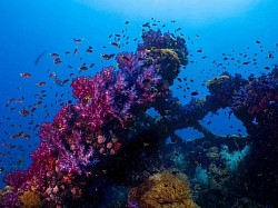 S S Yongala Dive